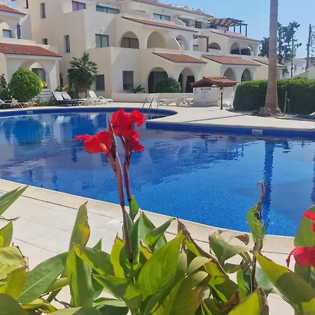 Blue Pearl With Pool In Kato Paphos